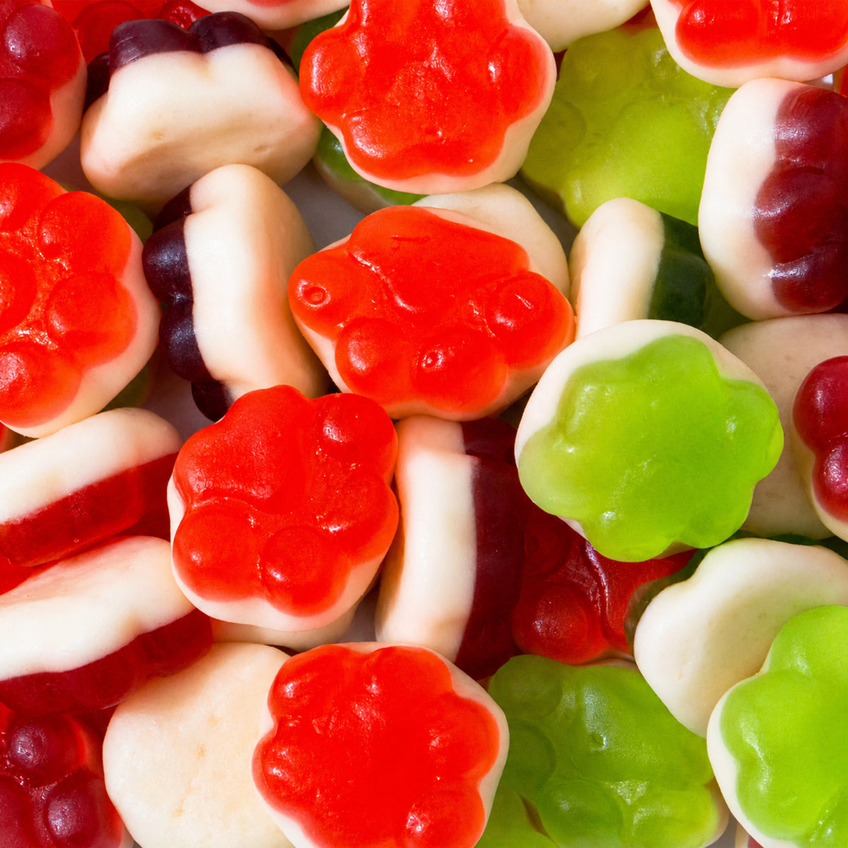 Custom Assorted Two-Layer Gummy Turtles – Bulk Pack